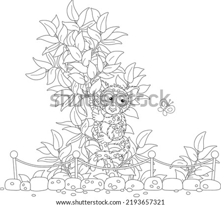 Funny exotic Philippine tarsier on a small tropical tree in an open-air cage of a zoological garden, black and white vector cartoon illustration for a coloring book page