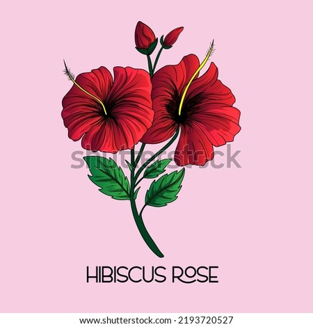 Illustration of tropical hibiscus flower. Decorative exotic plant. Floral templates with garden blooming flowers