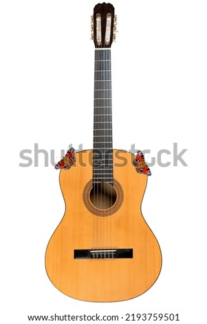Classical acoustic six-string guitar isolated on white background . A beautiful butterfly sits on a guitar