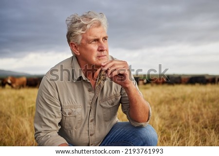 Mindset of an agriculture farmer man thinking on farm with storm clouds in sky or weather for outdoor farming or countryside. Sustainability worker on grass field with a vision for growth Royalty-Free Stock Photo #2193761993