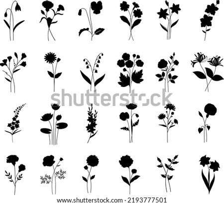 Birthday Floral Flower Flat vector Silhouettes