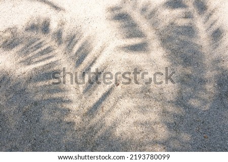 Palm leaf shadow on sand. High Resolution surface for pattern and background. Blank template for advertising lettering, rough material, grungy textured background closeup.