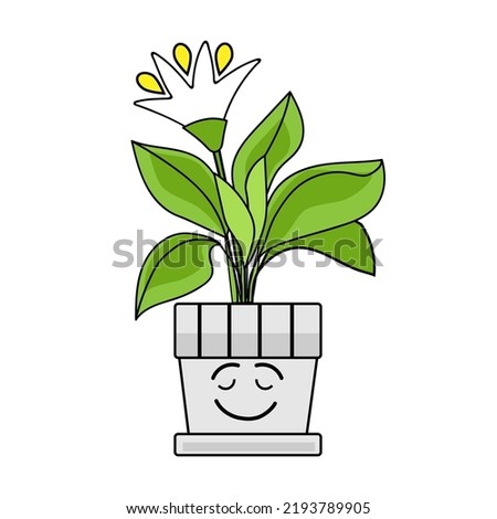 Happy blooming houseplant on white background