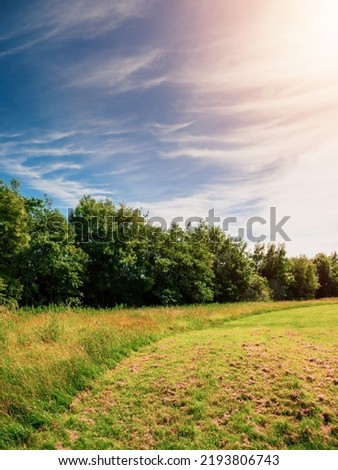 Field with cut and uncut green grass by a forest. Warm sunny day. Agriculture industry. Creating stock for winter concept. Blue cloudy sky.