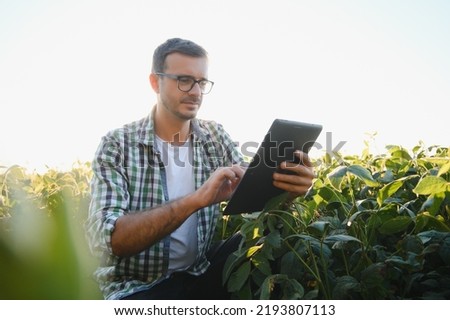 Young agronomist in the soy field and examining crops before harvesting. Agribusiness concept. agricultural engineer standing in a soy field Royalty-Free Stock Photo #2193807113