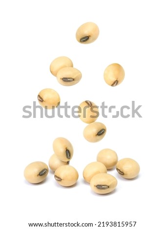 Soybean flying and falling down isolated on white background. Royalty-Free Stock Photo #2193815957