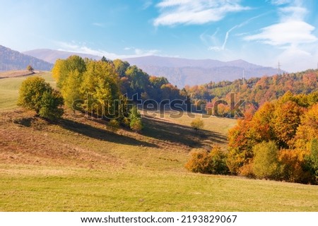 calm autumn morning in carpathian mountains. trees on the grassy hills. sunny autumn scenery of ukrainian countryside. beauty in nature concept Royalty-Free Stock Photo #2193829067