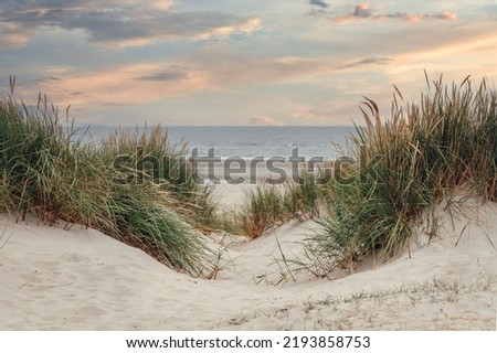 dune landscape on the north sea beach Royalty-Free Stock Photo #2193858753