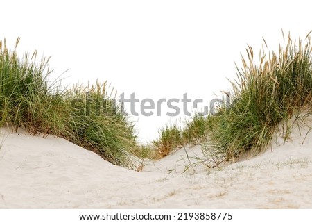 dune landscape on the north sea beach Royalty-Free Stock Photo #2193858775