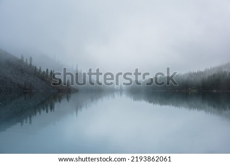 Tranquil meditative misty scenery of glacial lake with pointy fir tops reflection at early morning. Graphic EQ of spruce silhouettes on calm alpine lake horizon in mystery fog. Ghostly mountain lake. Royalty-Free Stock Photo #2193862061