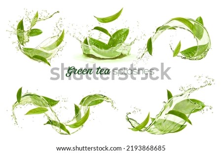 Green tea leaves swirls and splashes, transparent background. Vector 3d organic herbal foliage in water splatters, fresh drink aqua flow. Isolated plant leaves, natural aroma beverage Royalty-Free Stock Photo #2193868685