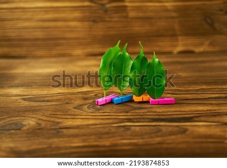 Pegs multicolored with leaves on a wooden background. The concept is competition, team games.