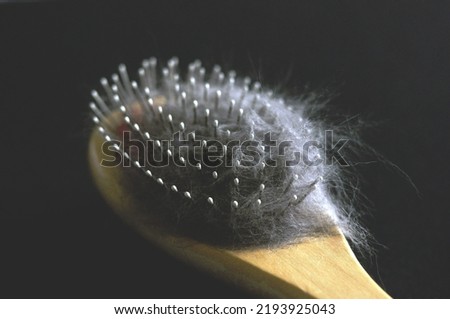 brush for animals with wool on a dark background