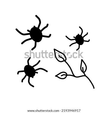Decorative spiders with vegetation elements in doodle style on the background