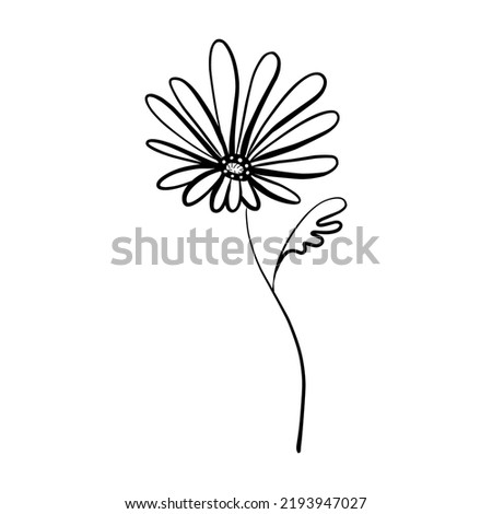 Decorative flower hand drawn in doodle style