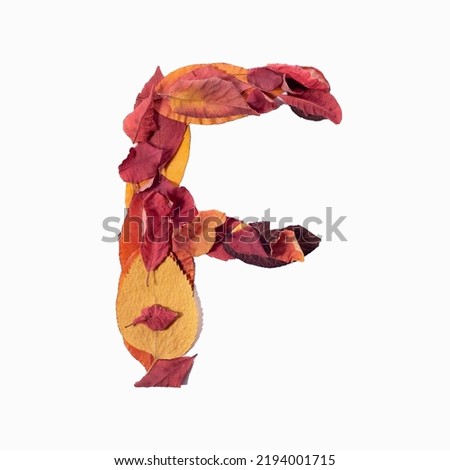 letter f isolate autumn leaves on white background texture