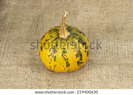 Pumpkin on burlap background