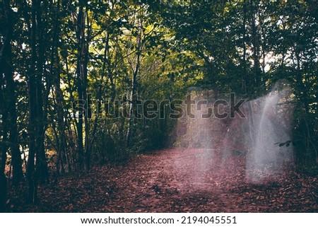 Horror background of a ghostly figure in enchanted a forest. Halloween concept