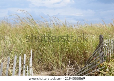 Rustic Background Scene with Beautiful Blue Sky, Ocean Dune Grasses and Broken Wood Fence Royalty-Free Stock Photo #2194055869