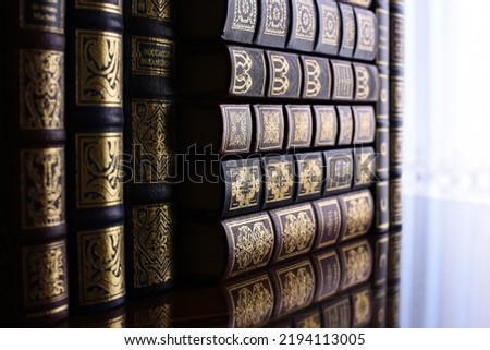 Detail of some classic books on the shelf of a library