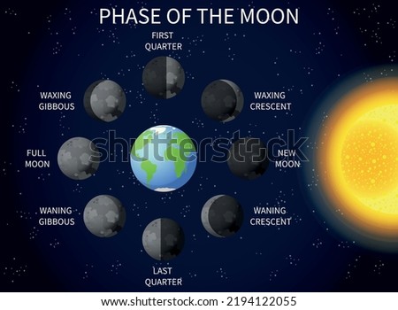 Phase of the moon. Colored vector illustration. Royalty-Free Stock Photo #2194122055