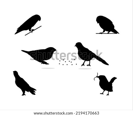 Silhouette Bird with Their Food Illustrations on White Background 
