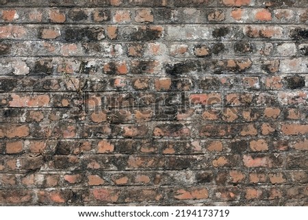 Old brick wall texture background	
