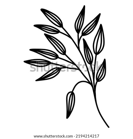 Cozy plant in doodle style vector illustration. Natural branch element isolated on white background.