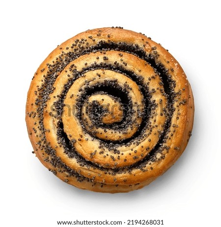 freshly baked poppy seed bun isolated on white background, top view