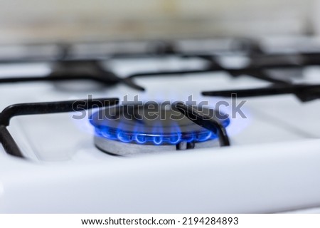 Close-up of a blue fire from a home stove. Gas stove with a burning flame of propane. The concept of industrial resources and the economy.