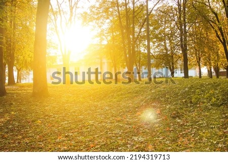 Defocus sunset in autumn park. Autumn landscape. trees with multicolored leaves on the grass in the park. Maple foliage in sunny autumn. Sunlight in early morning in forest. Fall. Out of focus.