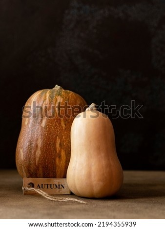 Two orange butternut squash pumpkins. Tag with the inscription autumn. Still life in dark mood. Brown background. Copy space