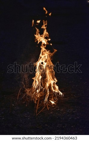 Picture of bonfire at night. Fire picture