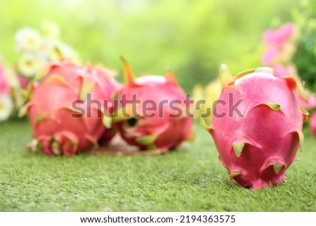Dragon fruit on green grass with natural bokeh. Asian read fruit with jelly white sweet fruit.
