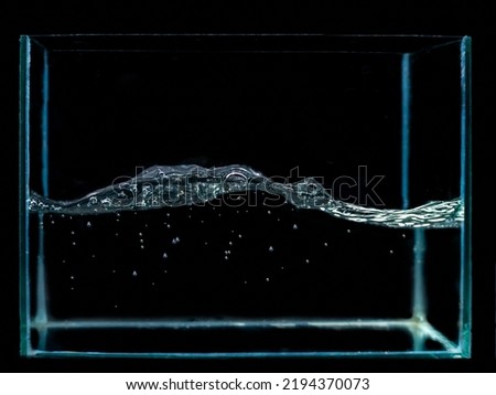 Sponges on the surface of the water, and many water bubbles under the water. Air bubbles and water are in the fish tank. black background
