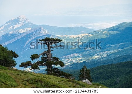 nature landscape from the Garden of the Gods inside Pollino National Park Royalty-Free Stock Photo #2194431783