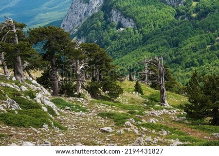 nature landscape from the Garden of the Gods inside Pollino National Park Royalty-Free Stock Photo #2194431827