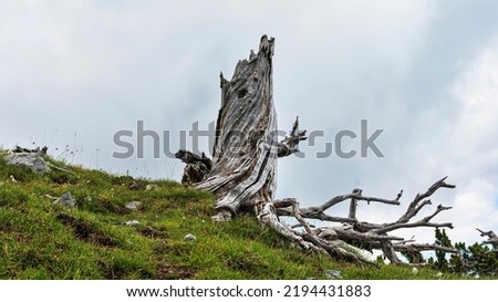 nature landscape from the Garden of the Gods inside Pollino National Park Royalty-Free Stock Photo #2194431883