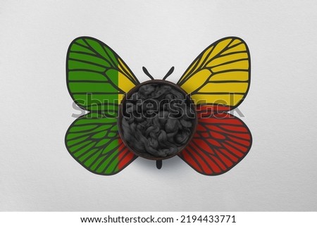 Patriotic background with butterfly wings in colors of national flag. Photography and marketing digital backdrop. Benin