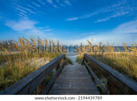 Pathway to the beach between sand dunes. Wooden path over dunes leading to the ocean. Jacksonville, Florida, USA. Royalty-Free Stock Photo #2194439789