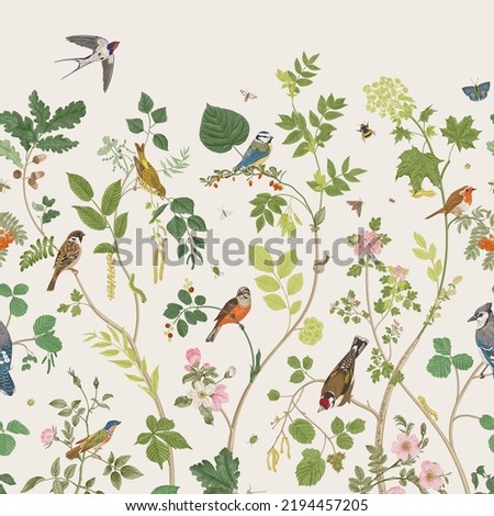 Garden Birds. Mural. Vector vintage illustration. 