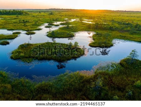 Swamp Yelnya on sunset landscape. Wild mire of Belarus. East European swamps and Peat Bogs. Ecological reserve in wildlife. Marshland with islands and pine trees. Swampy land and wetland, marsh, bog. Royalty-Free Stock Photo #2194465137