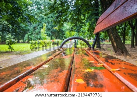Bench in a path after the rain stops. Summer park with wooden benches after rain. Green park after rain with red benches