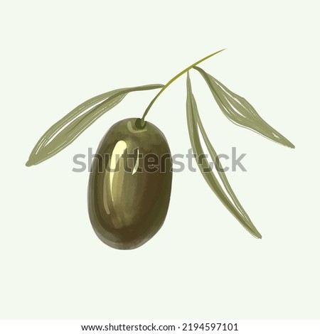 Olive branch hand drawn isolated on background