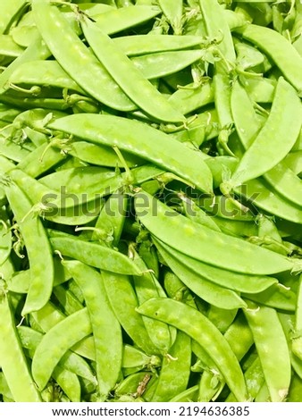 Fresh organic green pea (sweet pea, sugar pea, garden pea) group for sale in the big vegetable market center in Bangkok Thailand. Ingredient for cooking food and very good for healthy.