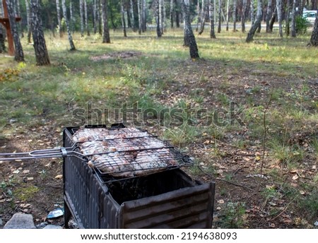 Marinated chicken, grilled meat in the forest. Picnic for the whole family outside the city. Camping, communication and friendship.