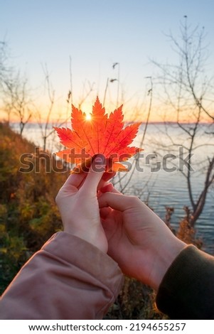 Red autumn leaf in the hands of a man and a woman against the backdrop of the sea during sunset.