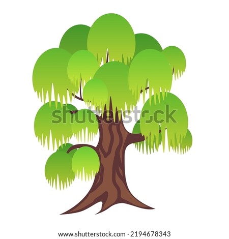Vector illustration of a willow tree with green gradient foliage for decorative purpose, landscape illustrations, websute decor etc.
