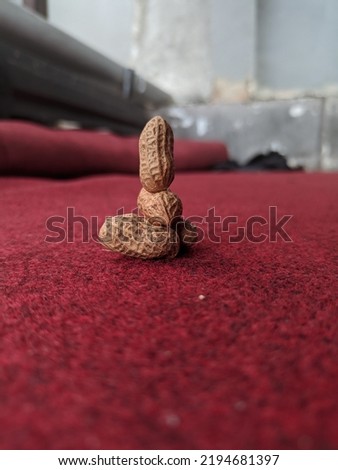 the nuts are arranged in a balanced manner. in the photo parallel.  against a red carpet backdrop.  selective focus