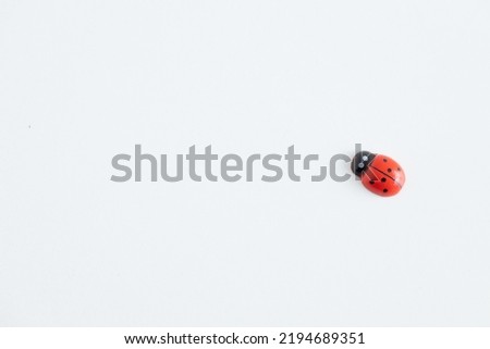 Colored wooden figures in the form of ladybugs on a white background